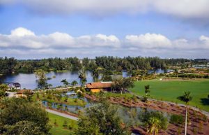 WINE, DINE AND FINDS Picnic in the Park - Holiday Edition! @  Lakes Regional Park