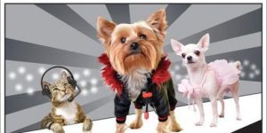 Doggie Fashion Show at Fall Pet Fest @ Lee County Domestic Animal Services