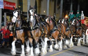 Fort Myers Grand Parade and Celebration @ Downtown Fort Myers