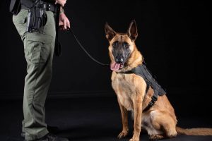 K9s United 9K/5K/One Mile Fun Run-Cape Coral, FL @ Jaycee Park