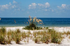 Lovers Key Boat Show, Market and Seafood Fest @ Lovers Key State Park