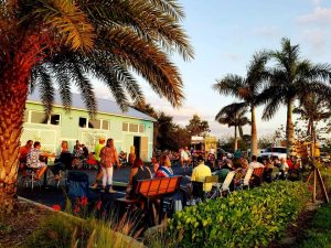 Wicken Dolphin Parking Lot Party! @ Wicked Dolphin