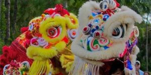 The 15th SWFL AsiaFest "Year of the Boar" Celebration @ Alliance for the Arts