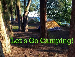 Camp Out at Jaycee Park @ Jaycee Park