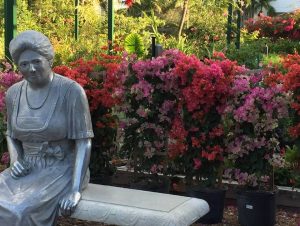 Edison Ford Winter Garden Festival @ Edison and Ford Winter Estates