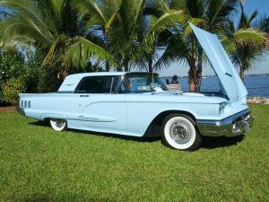 Specialty Car Show: T-Bird, Lincoln, Mercury, Edsel & Fairlane @ Edison and Ford Winter Estates