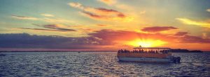 Valentine's Day Sunset Dolphin Cruise @ Adventures In Paradise, Inc.