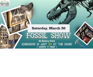 Fossil Show at Rotary Park @ Rotary Park