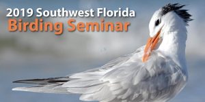 2019 Southwest Florida Birding Seminar @ Conservation 20/20