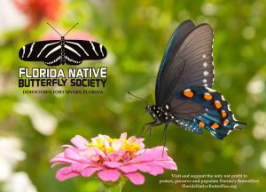 Butterfly Gardening Class @ Florida Native Butterfly Society