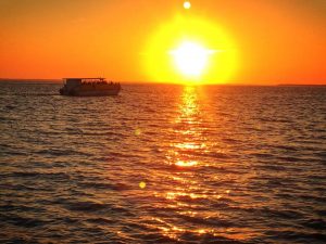Thanksgiving Sunset Dolphin & Wildlife Cruise @ Adventures In Paradise, Inc