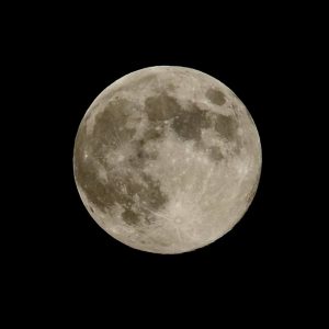 Music Under the Moonlight @ Iona Art Gallery