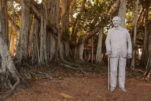 Garden Talk: Growing Beautiful Hibiscus @ Edison and Ford Winter Estates