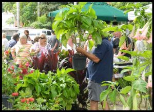 Edison Ford Fall Garden Festival @ Edison and Ford Winter Estates