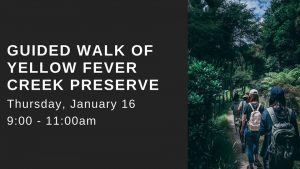 Guided Walk of Yellow Fever Creek Preserve @ Rotary Park