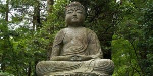 Half Day of Mindfulness @ Lakes Park