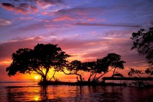 New Years Hike and Meetup @ Sierra Club Calusa Group