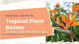 Tropical Plant Bazaar @ Rotary Park