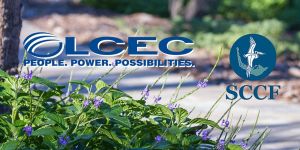 Speaker Series Presented by LCEC: Gardening in Southwest Florida @ Online