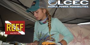 Speaker Series Presented by LCEC: Citizen Science and Lionfish Removal @ Online