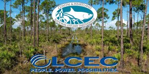 Speaker Series Presented by LCEC: Economic Value of National Resources @ Online