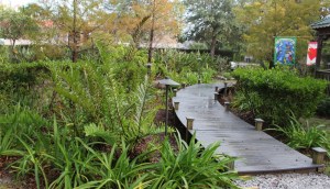 Planting in Seasonal Wet Areas in Your Landscape @ Fort Myers-Lee County Garden Council